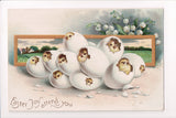 Easter - Chicks peeping out of their eggs - A06737