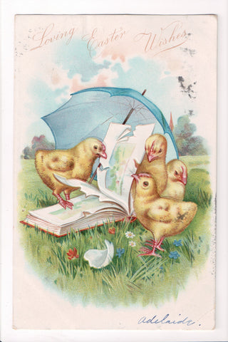 Easter - chicks chewing up pages in a book, umbrella - E10336