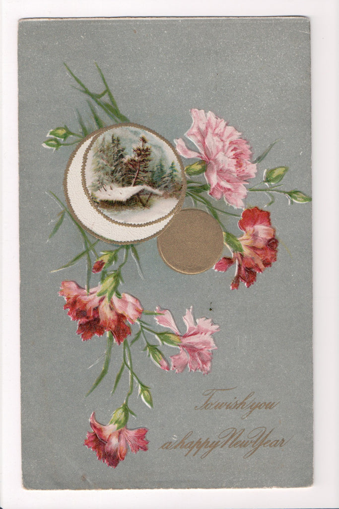 New Year - Pink Carnations, moon - Winsch back - C08660