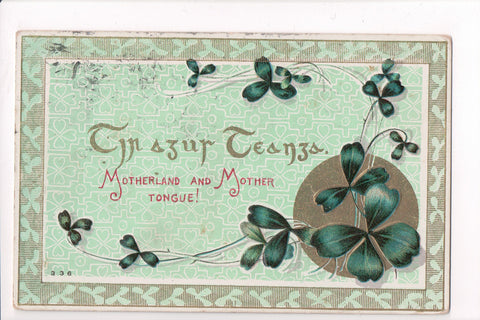 St Patrick - Motherland and Mother Tongue (cute note) - w00137