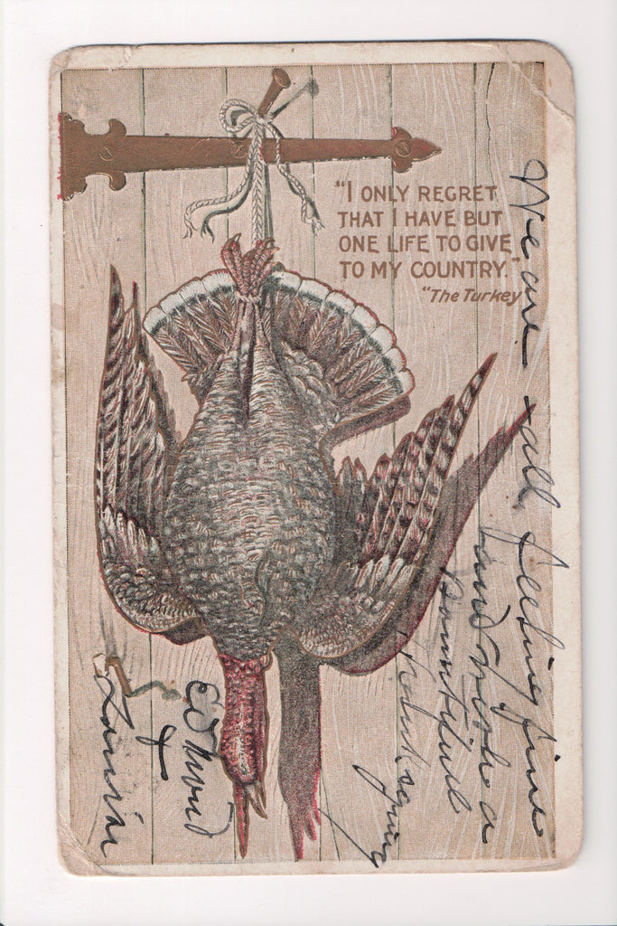 Thanksgiving - Turkey hanging from door by feet postcard - 500194