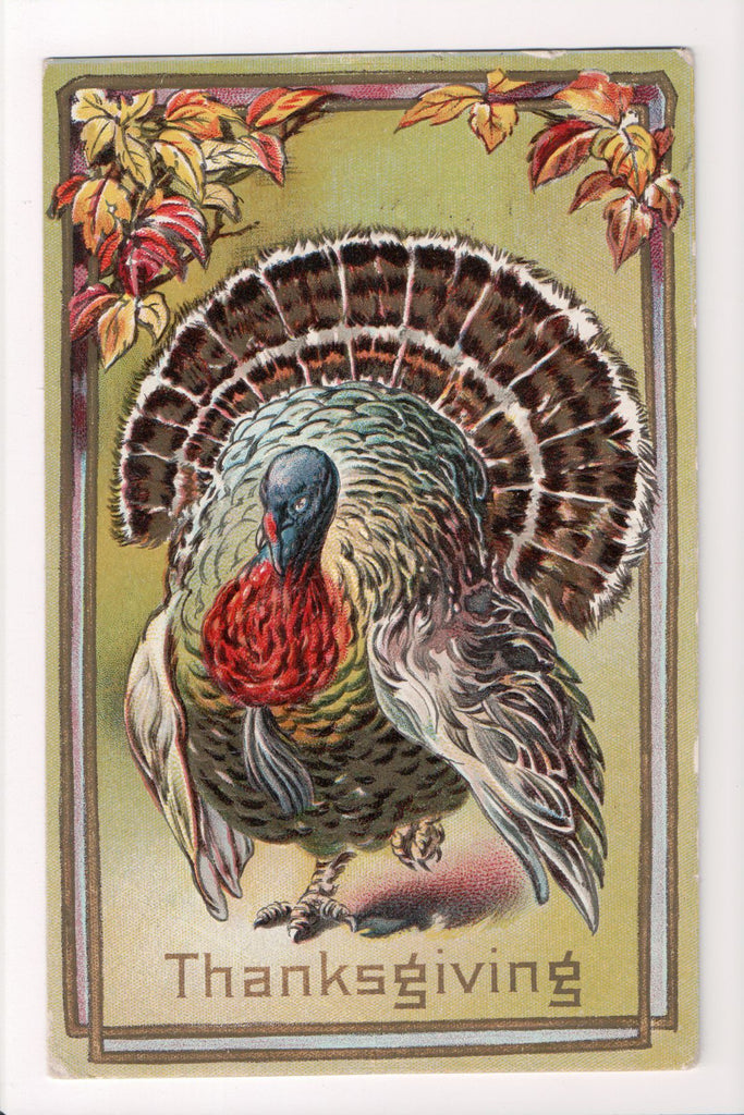 Thanksgiving - postcard of a turkey close up, leaves - 606314