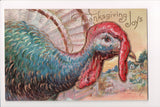 Thanksgiving - Joys postcard - An American Beauty, turkey head - A06667
