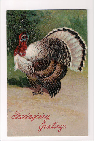 Thanksgiving - Greetings postcard - Paul Finkenrath - B06371