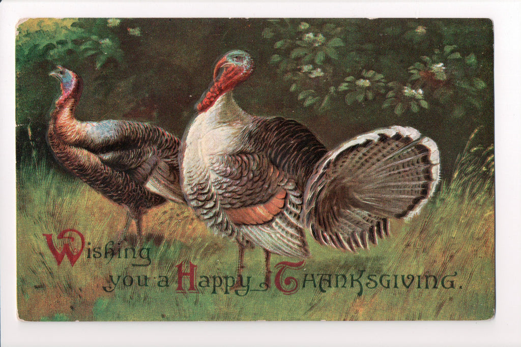 Thanksgiving - Wishing you a Happy - Clapsaddle? - E03019