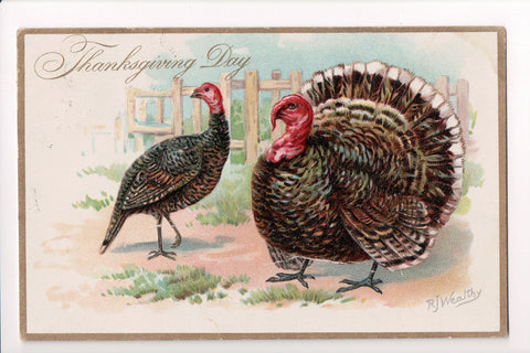 Thanksgiving - Day, Tom Turkey, hen - Tuck postcard - S01018