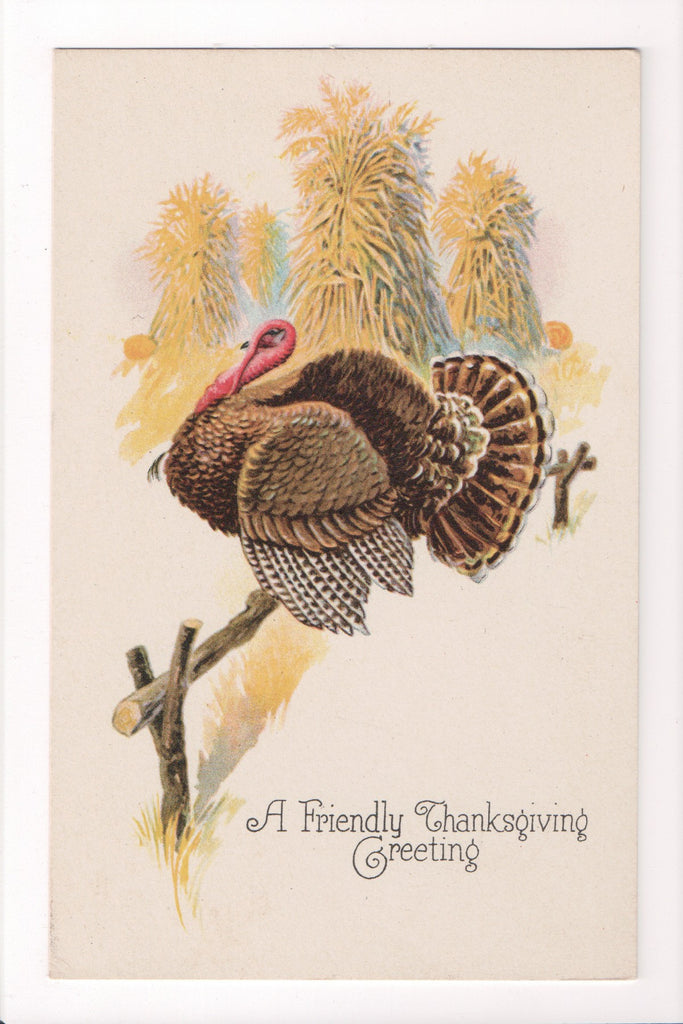 Thanksgiving - Friendly Greeting postcard - turkey on fence - w00421