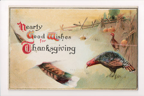 Thanksgiving - Hearty Good Wishes for postcard - large feather - w04687