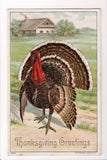 Thanksgiving - Greetings postcard - Turkey closeup - Julius Bien - w05063