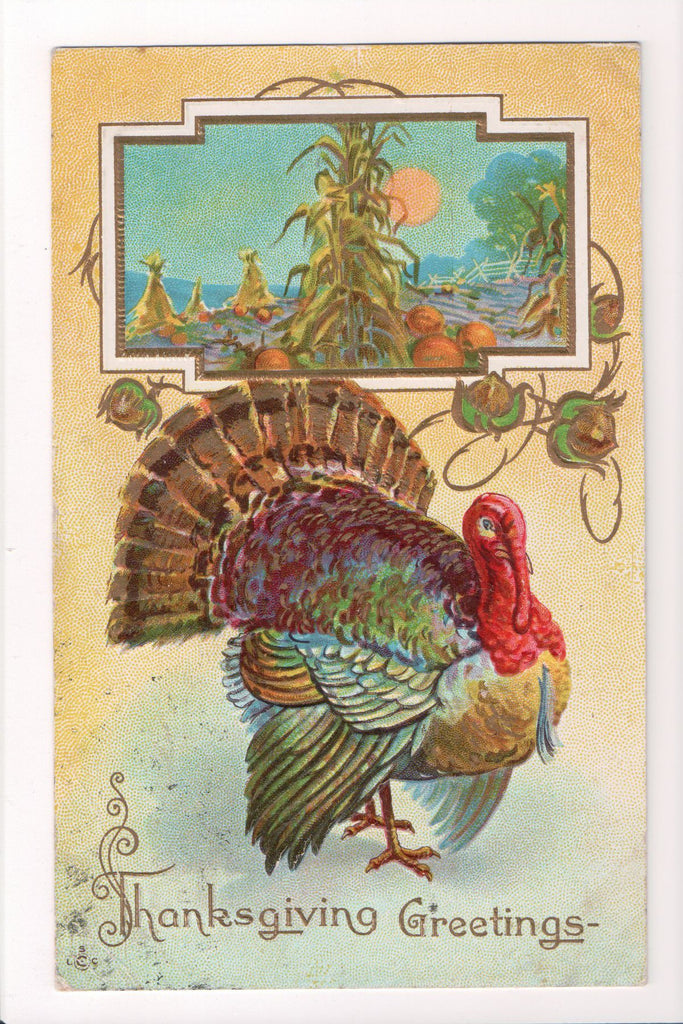 Thanksgiving - Greetings postcard - tom turkey - w05064
