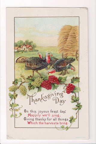Thanksgiving - Day postcard - turkeys, grapes, hay - w05068