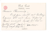 Thanksgiving - Flock of turkeys postcard - F A Owen - w05073