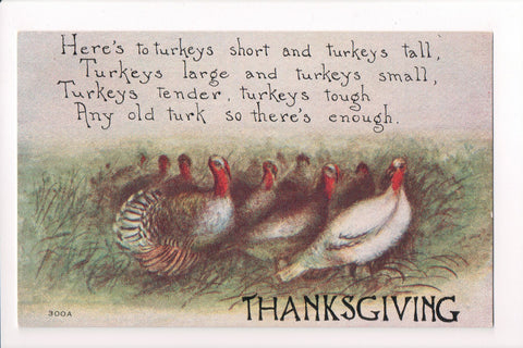 Thanksgiving - Flock of turkeys postcard - F A Owen - w05073