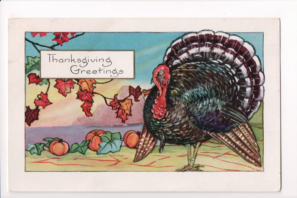 Thanksgiving - Greetings postcard - Whitney Made - w05074