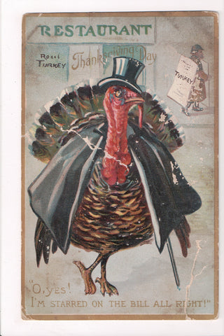 Thanksgiving - O, Yes!  I'm starred on the bill all right - Tuck #162 - z17029 **Damaged / AS IS**