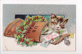 Xmas - Cat in a US Mail Bag with Merry Christmas letter - E05080