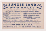 SC, Myrtle Beach - JUNGLE LAND advertisement postcard - Parrots - H03242