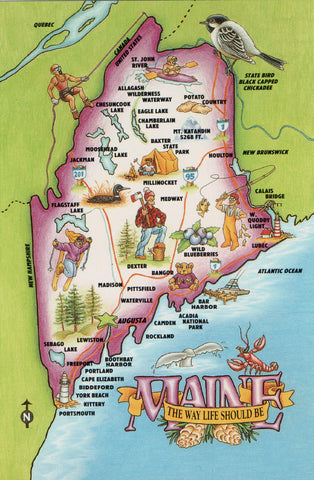 ME, Maine - STATE MAP continental postcard - I03250