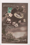 Easter - Bird on nest of eggs, Mesange 717 - I04182