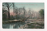 IA, Marshalltown - Iowa River, view along - G03364