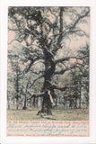 IA, Sioux City - Riverside Park, Council Oak - J04052