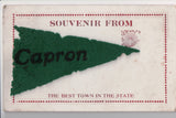 IL, Capron - Souvenir Felt Banner added to postcard - B06481