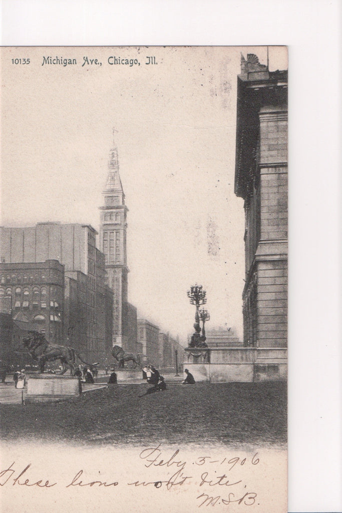 IL, CHICAGO - Michigan Avenue, Lion statues (original SOLD) EP0137