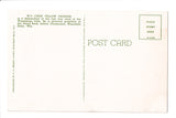 Indian postcard - Winnebago Chief Yellow Thunder in regalia - 800125
