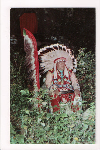 Indian postcard - Winnebago Chief Yellow Thunder in regalia - 800125