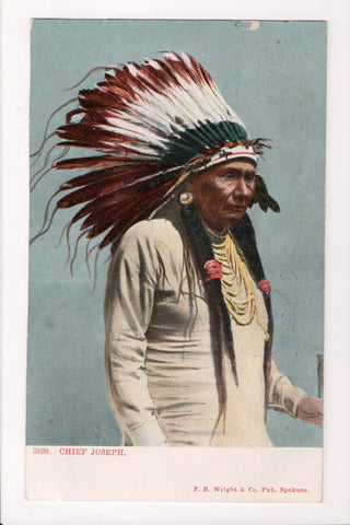 Indian - Chief Joseph (SOLD, only email copy available) 801073