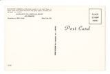 Indian postcard - Blackfeet woman (Digital Copy ONLY avail) - CP0407