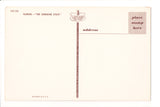 FL, FLORIDA - STATE MAP postcard - J03135