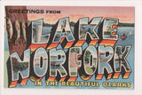 AR, LAKE NORFORK - in the Ozarks - Curteich postcard - J04035