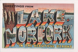 AR, Lake Norfork - in the Ozarks - Curteich postcard - J04035