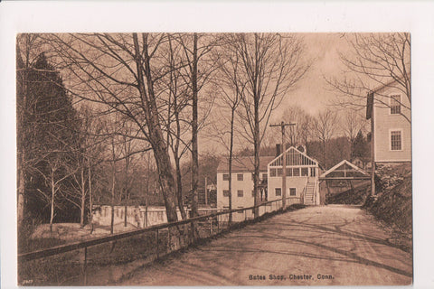 CT, Chester - Bates Shop, W J Neidlinger postcard - K03108