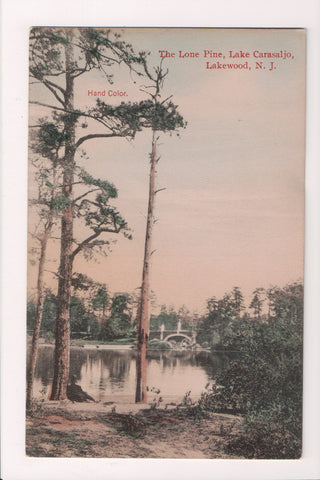 NJ, LAKEWOOD - Lake Carasaljo scene - hand colored (original SOLD) K04183