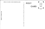 SC, COLUMBIA - First Presbyterian Church postcard - K06114