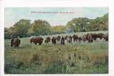 KS, Kiowa Co - Rockerfeler Ranch Buffalo Herd postcard - B08310