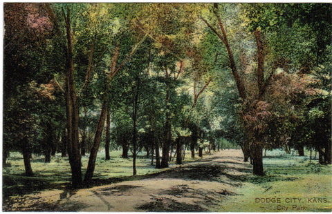 KS, Dodge City - City Park - H R Schmidt postcard - G03307