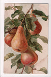 Greetings - Artist signed - Klein - Pear on branch postcard - 505051