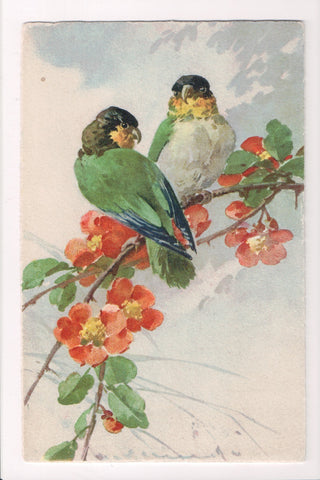 Greetings - Artist signed - Klein - Birds postcard - Stehli - B05047