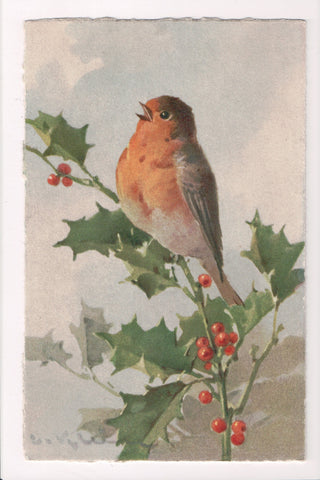 Greetings - Artist signed - Klein - Bird on postcard - Stehli - K04104