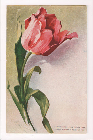 Greetings - Artist signed - Klein - pink tulip flower postcard - S01437