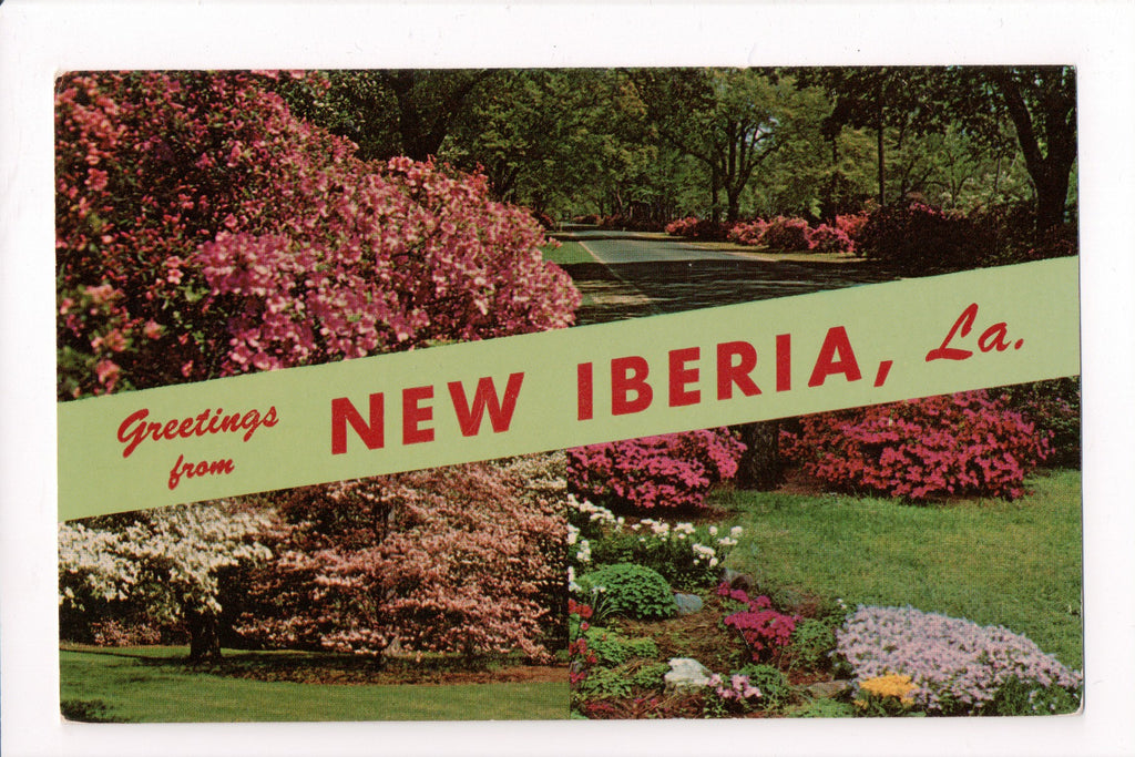 LA, NEW IBERIA - Greetings (Only Digital Copy Avail) - MB0696