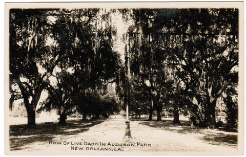 LA, New Orleans - Audubon Park view, Grogan RPPC - C08540