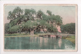 LA, New Orleans - Audubon Park - Washington Oak, bridge - CP0163