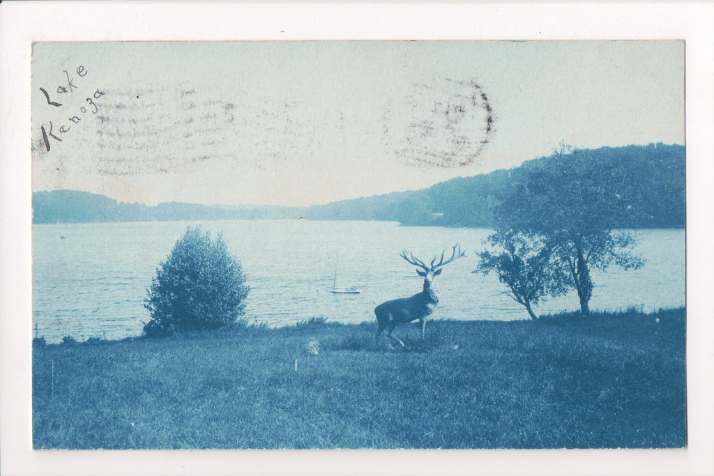 MA, Haverhill - Lake Kenoza with deer near lake - @1909 Cyanotype - E10177