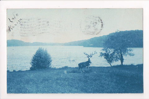 MA, HAVERHILL - Lake Kenoza with deer near lake - @1909 Cyanotype - E10177