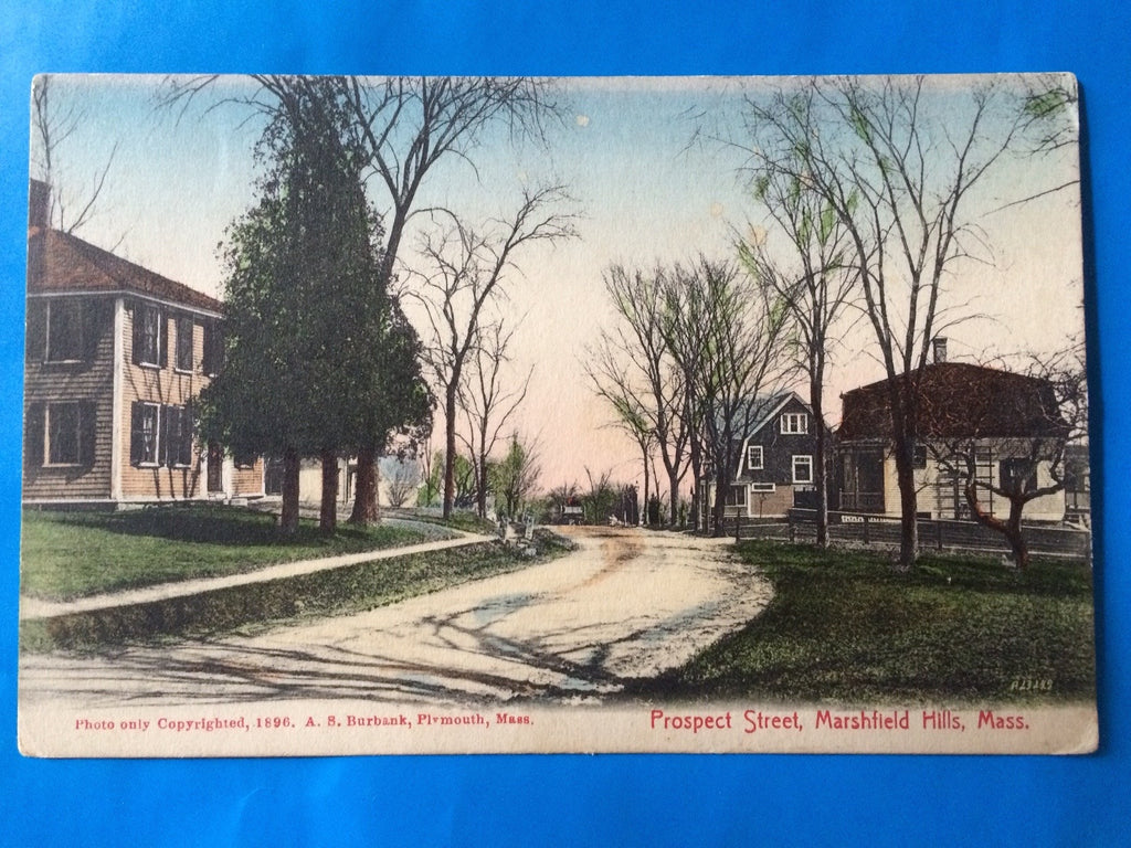 MA, Marshfield Hills - Prospect St - A S Burbank postcard - H15027