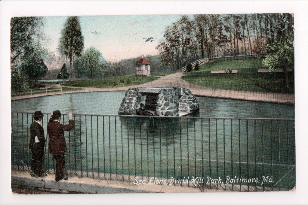 MD, BALTIMORE - Druid Hill Park Sea Lions postcard - CP0288